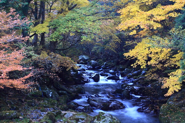 秋色と渓流