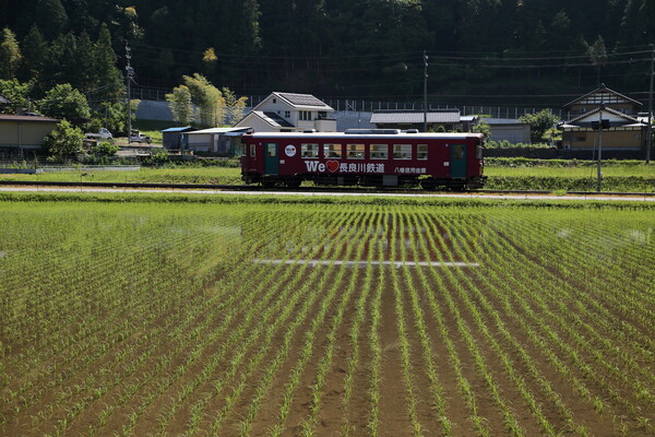 田園を行く長良川鉄道