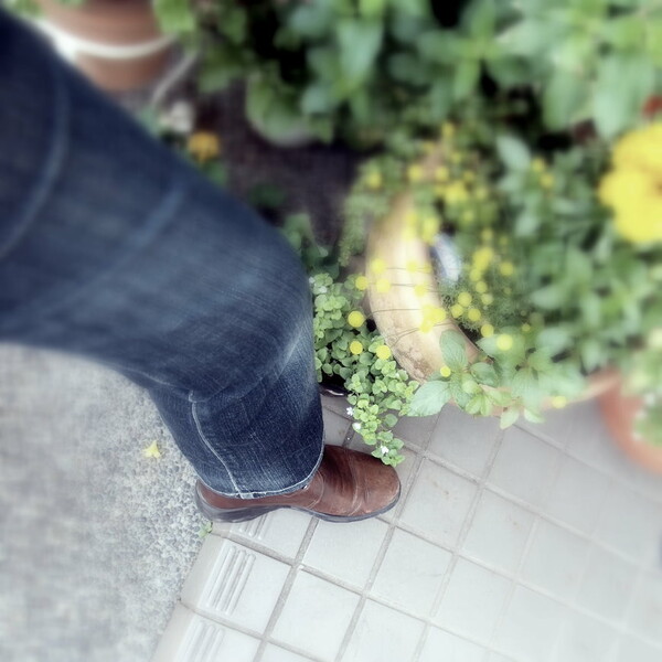 【靴】自撮り(;^ ^A