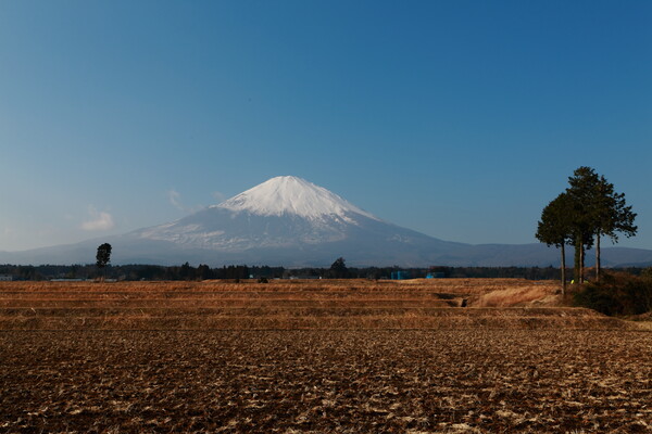 御殿場からの富士山２０１７正月