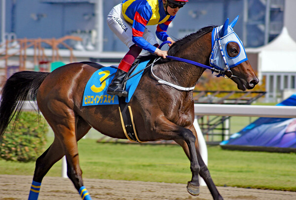 AIで競馬の予想はできるか？