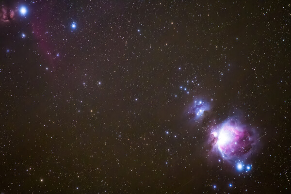 オリオン座も賑やか