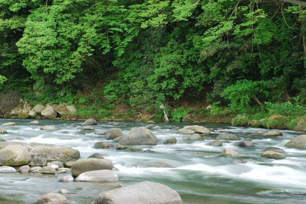 水と緑の中で