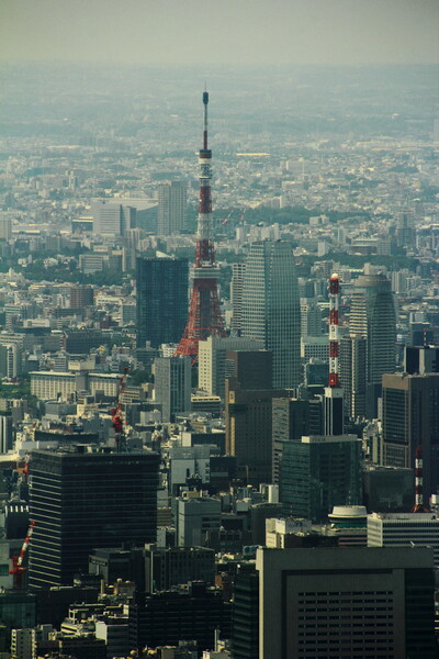 スカイツリーからの東京タワー