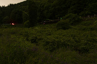 ほたるの原宿