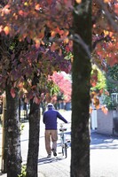 昼下がりの小径