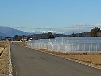 ビニールハウスと雪山