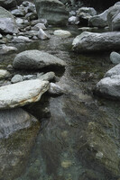 蛇紋岩の河原