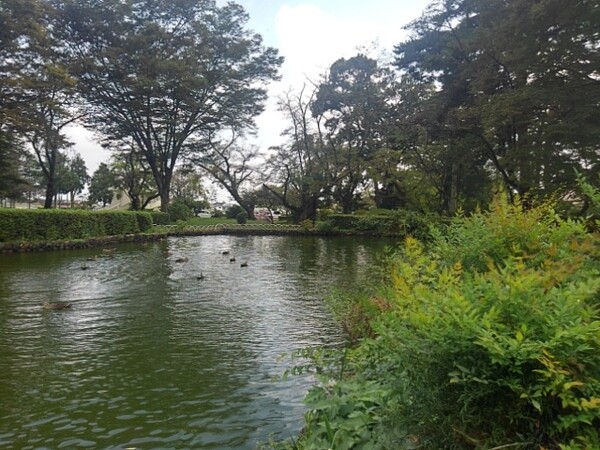 烏ヶ森公園の落ち着いた雰囲気のある池