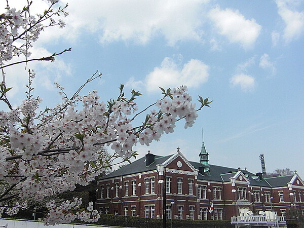 東京近代美術館工芸館と満開の桜