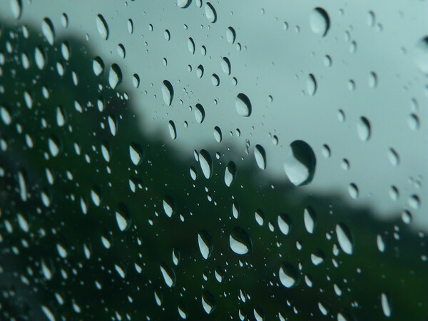 Rain・・・