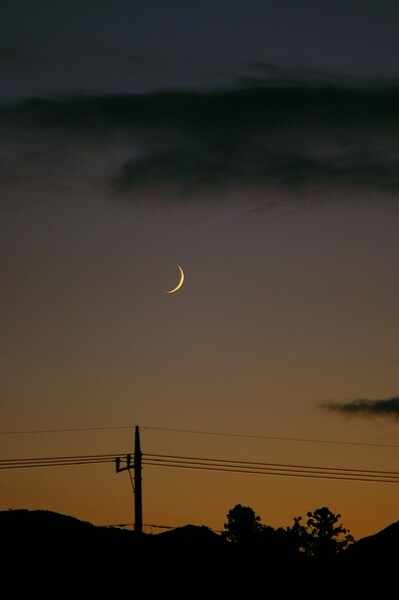 撮りたてのスリムな月