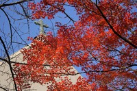 教会の紅葉