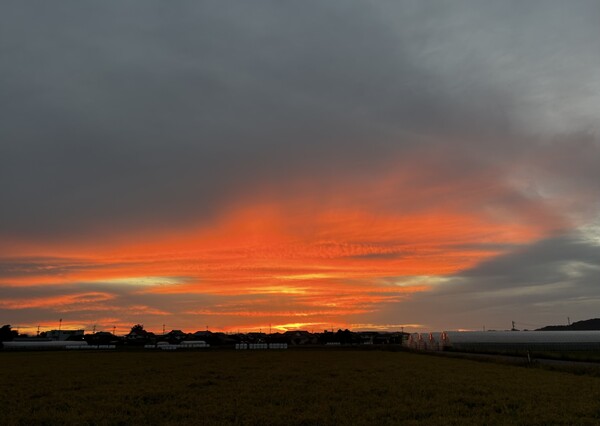 夕日−３