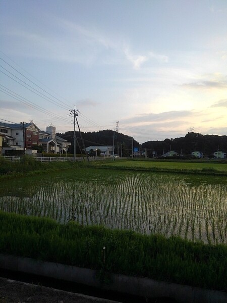 閉校した学校の校舎と水田のある景色