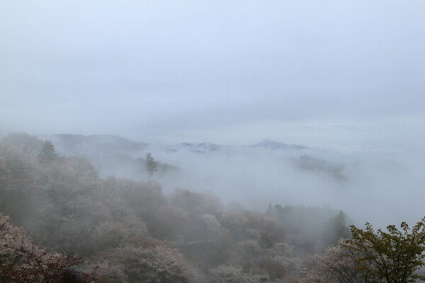 霧の吉野