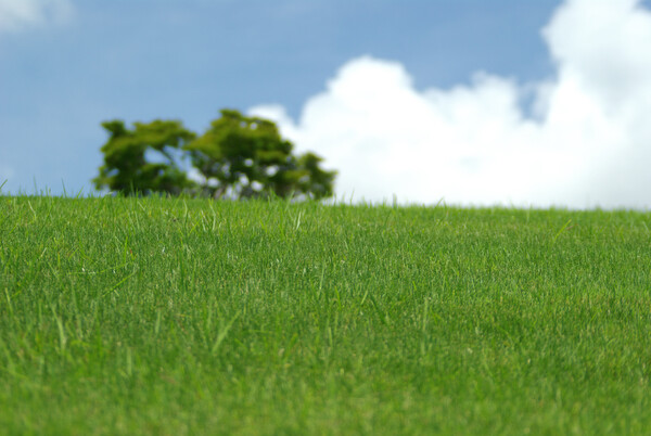 【天】草原のイメージ