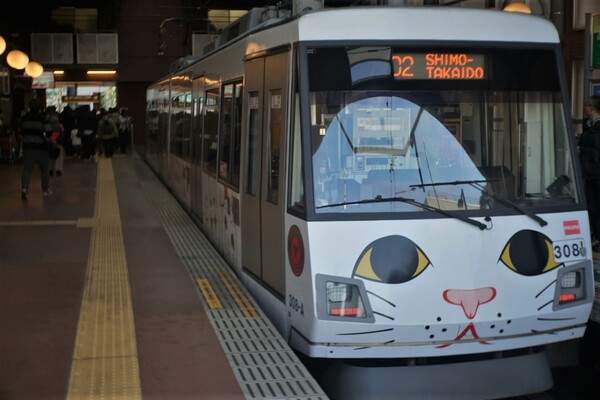 世田谷線の猫電車