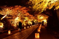 滋賀県石山寺のライトアップ