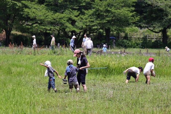 泥田んぼ家族
