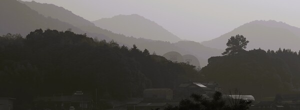 朝もや