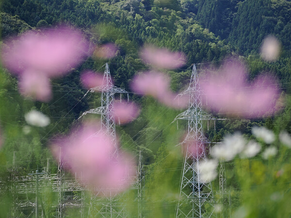 生産地２