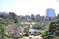 藤代峠からの風景