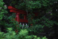 世田谷八幡にて