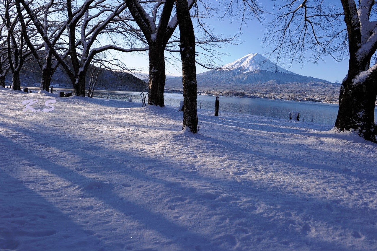 斜光に富士山