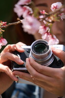 フジX30で桜撮る女性