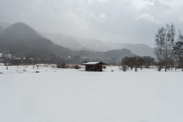 そして雪が降るⅡ