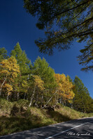 紅葉の山岳ロード