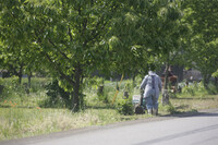 田舎の風景（４