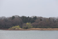 多摩湖うららか