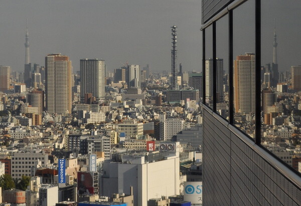 窓に映る東京スカイツリー