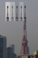 東京タワーの一週間