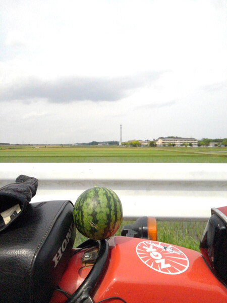 夏のにおい