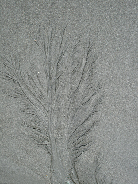 砂のアート
