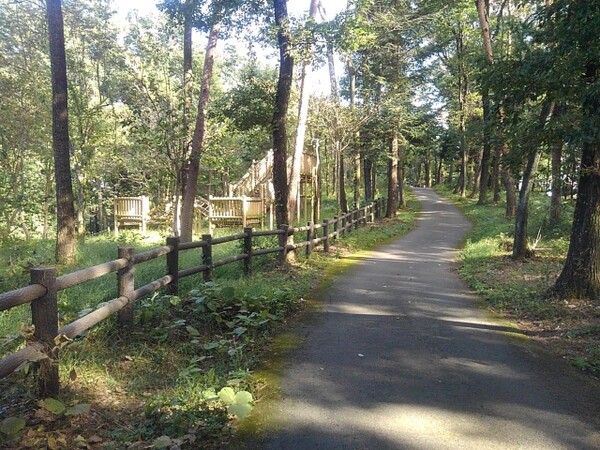 アスレチック広場の近くの歩道