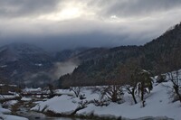 今朝は雪がちらちらと・・