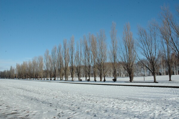 冬の公園