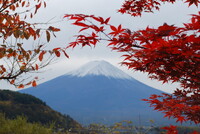 【秋】富士山