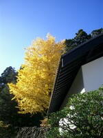 〜　いざ鎌倉（東慶寺-04）　〜