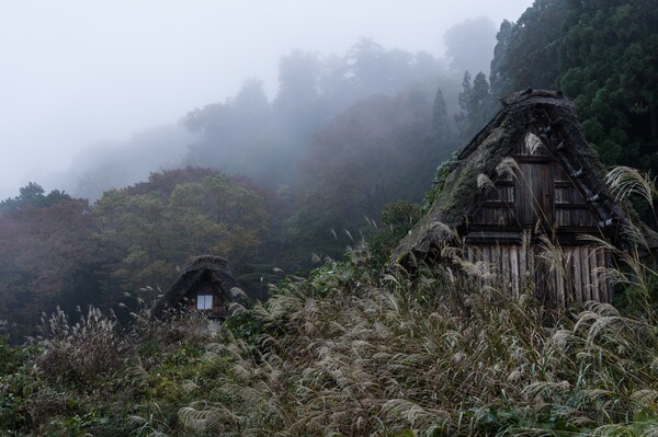 霧の朝Ⅲ