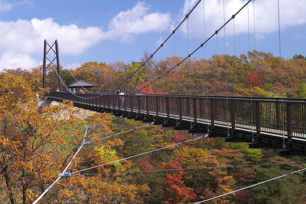 紅葉の吊り橋