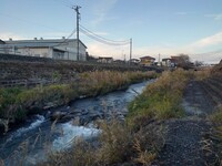 川の景色（12/3に撮影）