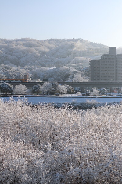 【刹那】広島の雪景色