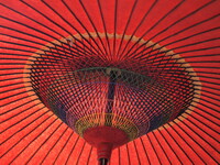 【日本】の傘