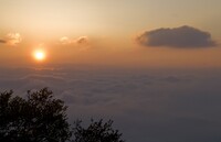 雲上の朝日