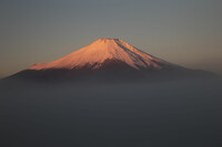 紅富士近景